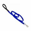 Lupine Basics Leash 1/2"x 6'