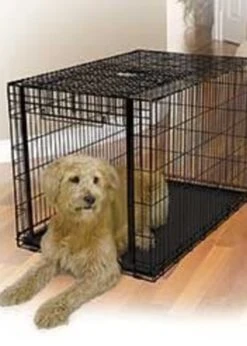 MidWest Ovation™ Single Door Crate Medium