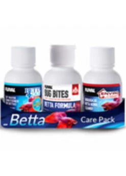 Betta Starter Kit