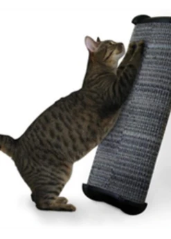 Lean-It Everywhere Scratch Post Wide 20"