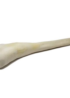 Open Range Full Length Bull Tail