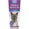 PetAg Vitamin & Mineral Gel Supplement For Cats 3.5oz