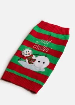 Silver Paw Dog Sweater Just Chillin' X-Small