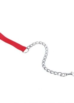 TITAN X-Heavy Chain Leash With Nylon Handle 2' X 4mm Red