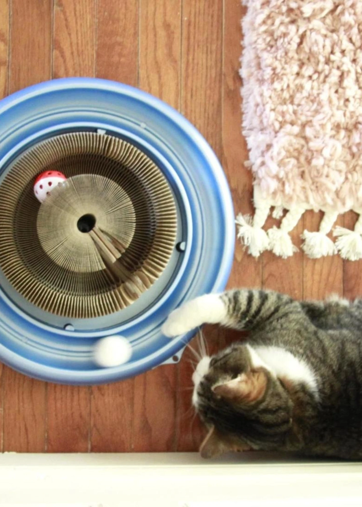 Turbo® Scratcher 2 Turbo® Scratcher - Image 2