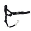 Walk'n Train! Head Halter Large