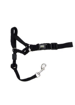 Walk'n Train! Head Halter Large