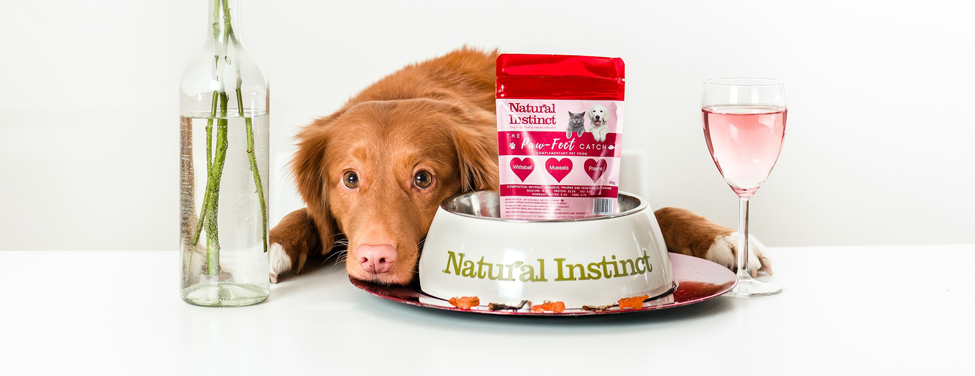 Pet Supplies Shop -Pet Supplies Shop jamie street cBI n9af bU unsplash